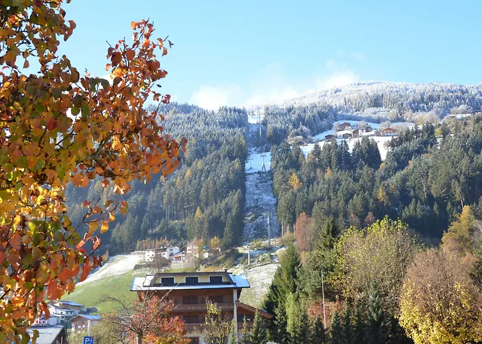 Alptirol 公寓式酒店 4*