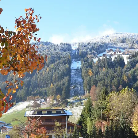 Alptirol Lägenhetshotell 4*