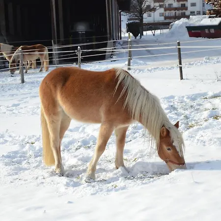 Alptirol 4* Kaltenbach